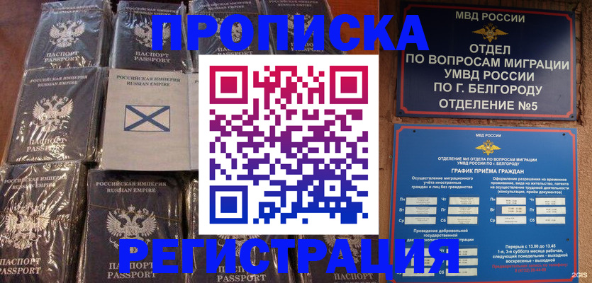 прописка гарантия в Шилке